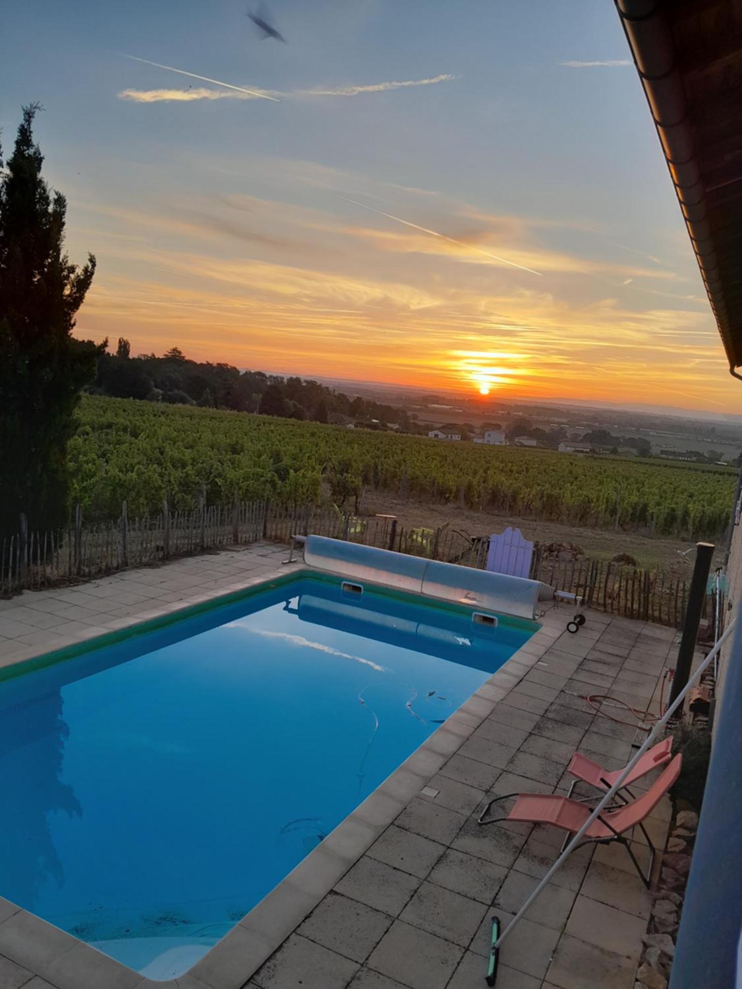 La Cote Des Blancs - Domaine Viticole & Maison D'Hotes Vinzelles Экстерьер фото